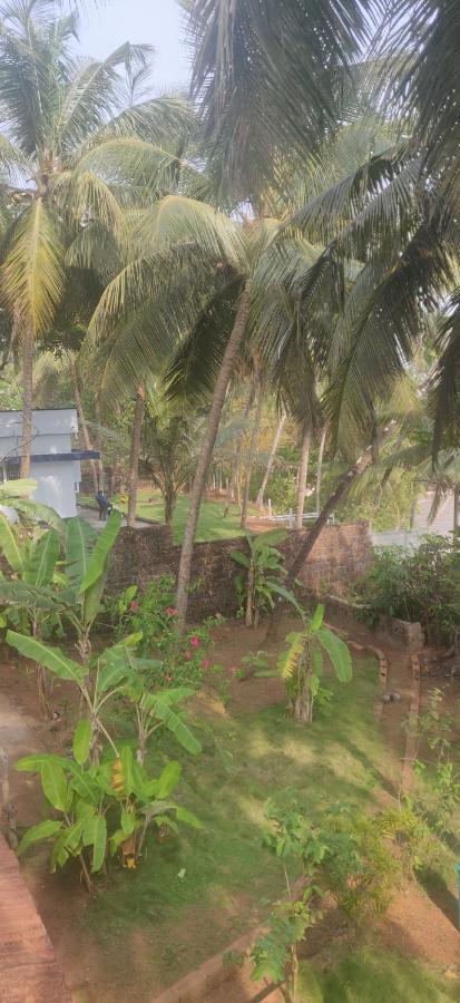 Perch By The Sea Bed & Breakfast Kannur Exterior photo