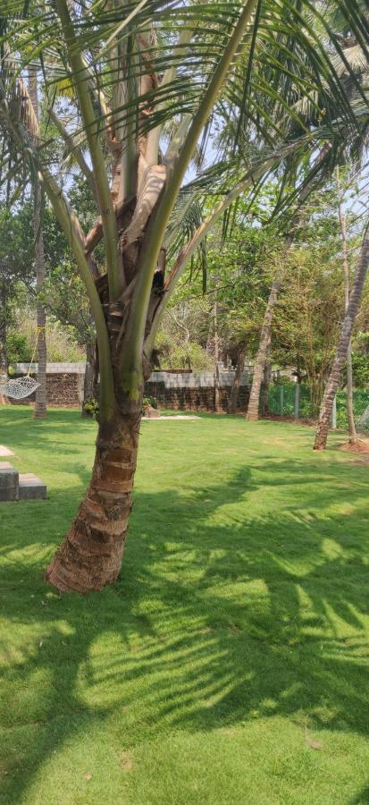 Perch By The Sea Bed & Breakfast Kannur Exterior photo