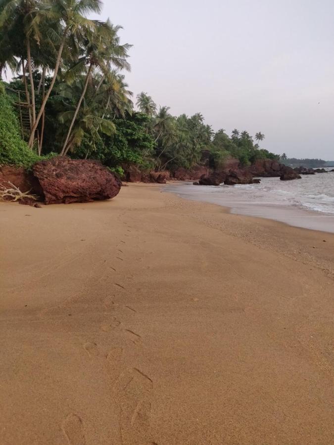 Perch By The Sea Bed & Breakfast Kannur Exterior photo