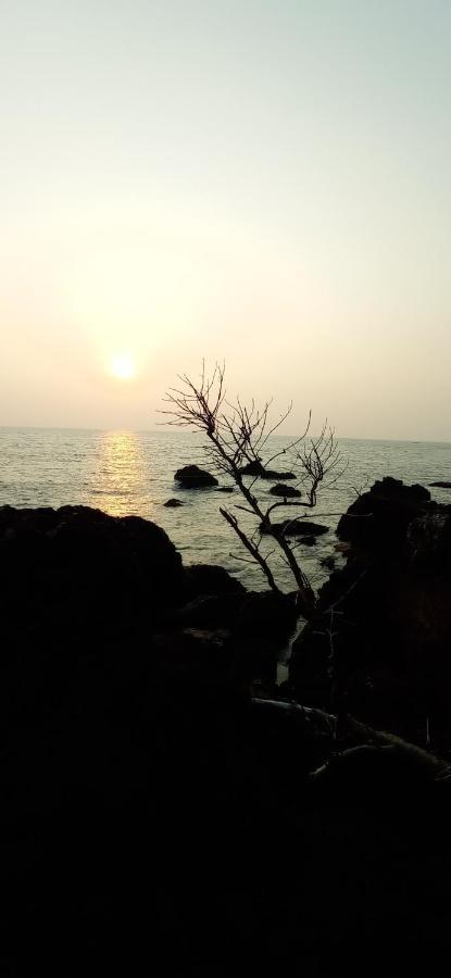 Perch By The Sea Bed & Breakfast Kannur Exterior photo